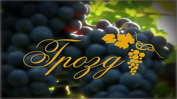 Грозд: Тражи се и српска ракија 