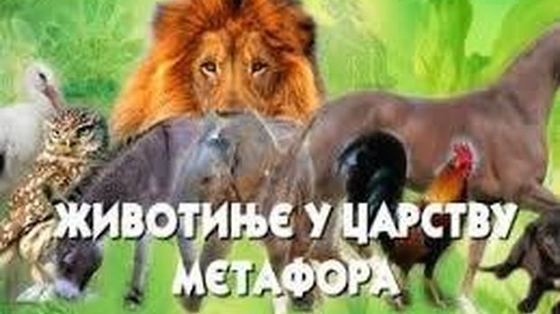 Животиње у царству метафора: Сова