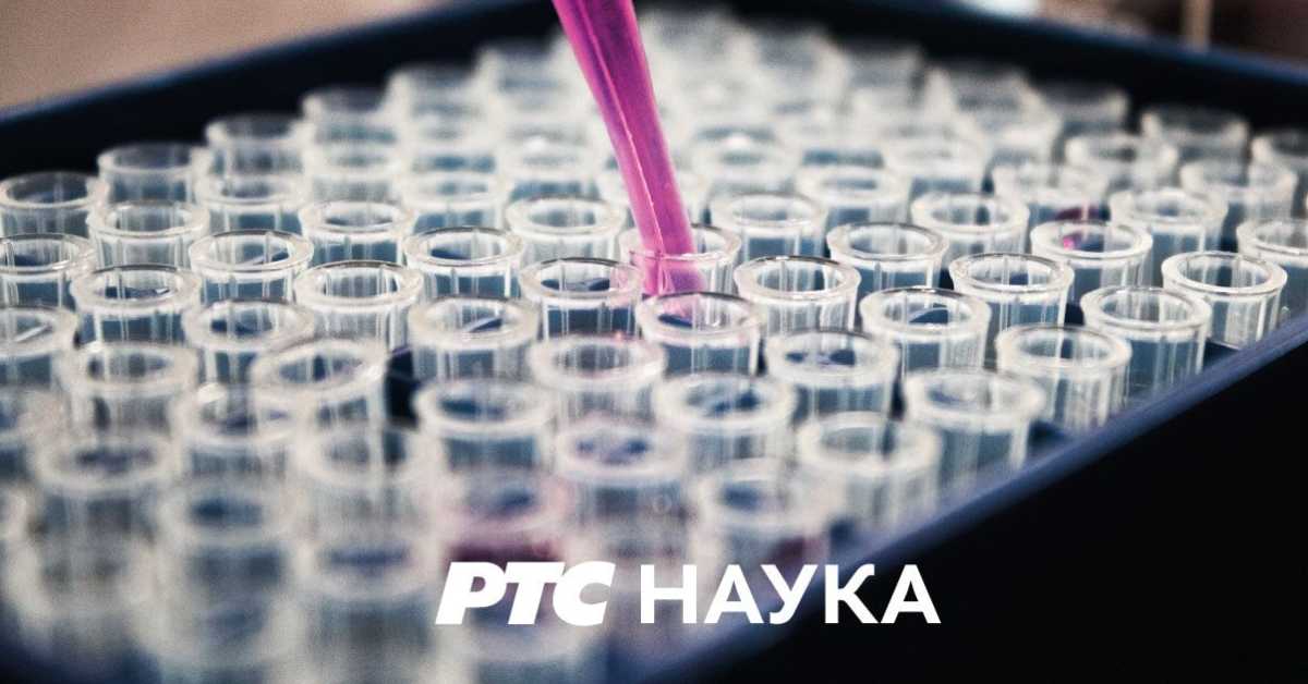 Ја, ми и други:	Тоталитаризам, први део