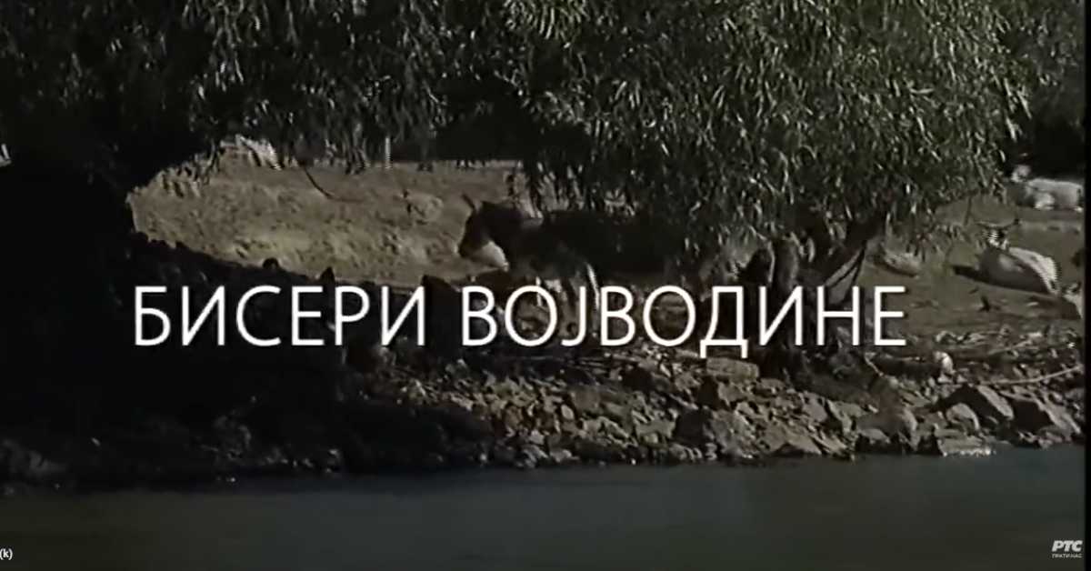 Наука у селу: Бисери Војводине Наука у селу: Бисери Војводине