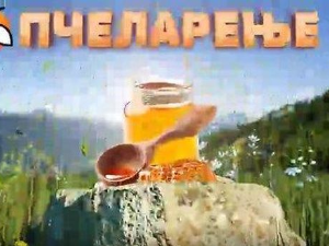 Еко минијатуре: Пчеларење - прехрана пчела