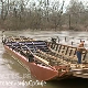 1001 Траг – Скелеџијо на Морави