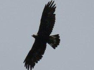 Еко минијатуре: Срећна планета