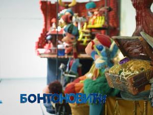 Бонтоновићи:	О књигама, купусу и тајанственим флекама