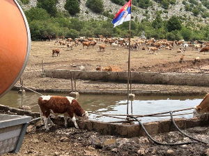 Цистерне са пијаћом водом достављене угроженим домаћинствима и животињама на Сувој планини 
