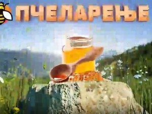 Еко минијатуре: Пчеларење - ројење пчела