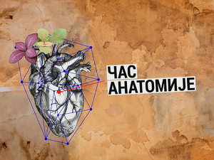 Час анатомије: Трулеж мозга – мисао у егзилу