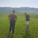 4 брата чувају 1500 оваца