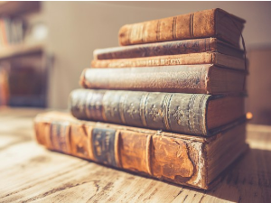 Михаел Антоловић – Нова српска историографија