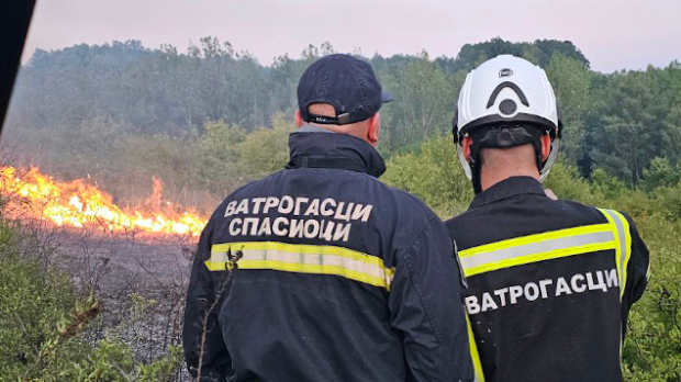 РТС :: Хроника :: Екстремне врућине повећале број пожара, немар најчешћи  узрок
