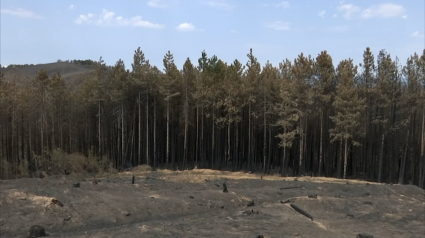 У Врању се стање са пожарима стабилизује - нема нових, активни се гасе 