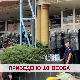 Приведено 10 особа