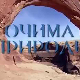 Очима природе: Игра светла и таме