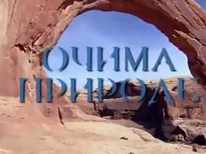 Очима природе: Игра светла и таме