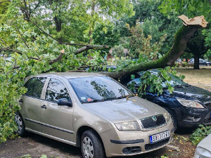Две особе повређене у невремену у Новом Саду, олуја у Зрењанину, поломљено дрвеће у Суботици 