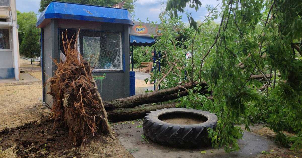 Две особе повређене у невремену у Новом Саду, олуја у Зрењанину, поломљено дрвеће у Суботици 