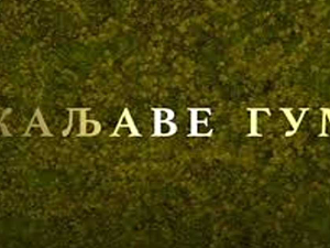 Каљаве гуме, 6-10
