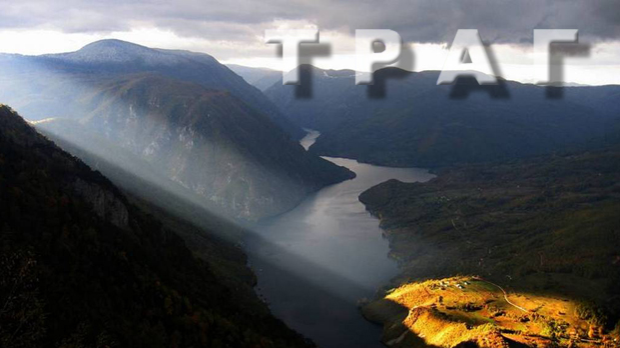Траг: Храст – сви годови живота