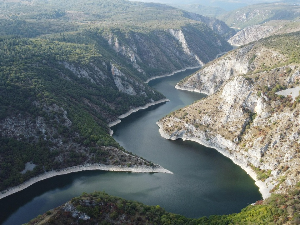 Компас – Србија