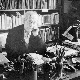 Портрети: Ото Бихаљи Мерин, Мисли и боје