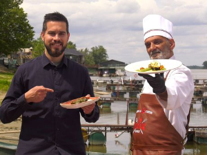 Гастрономад