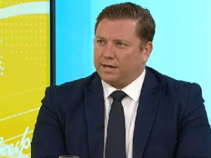 Кокановић позвао сународнике из расејања на сарадњу и заједништво
