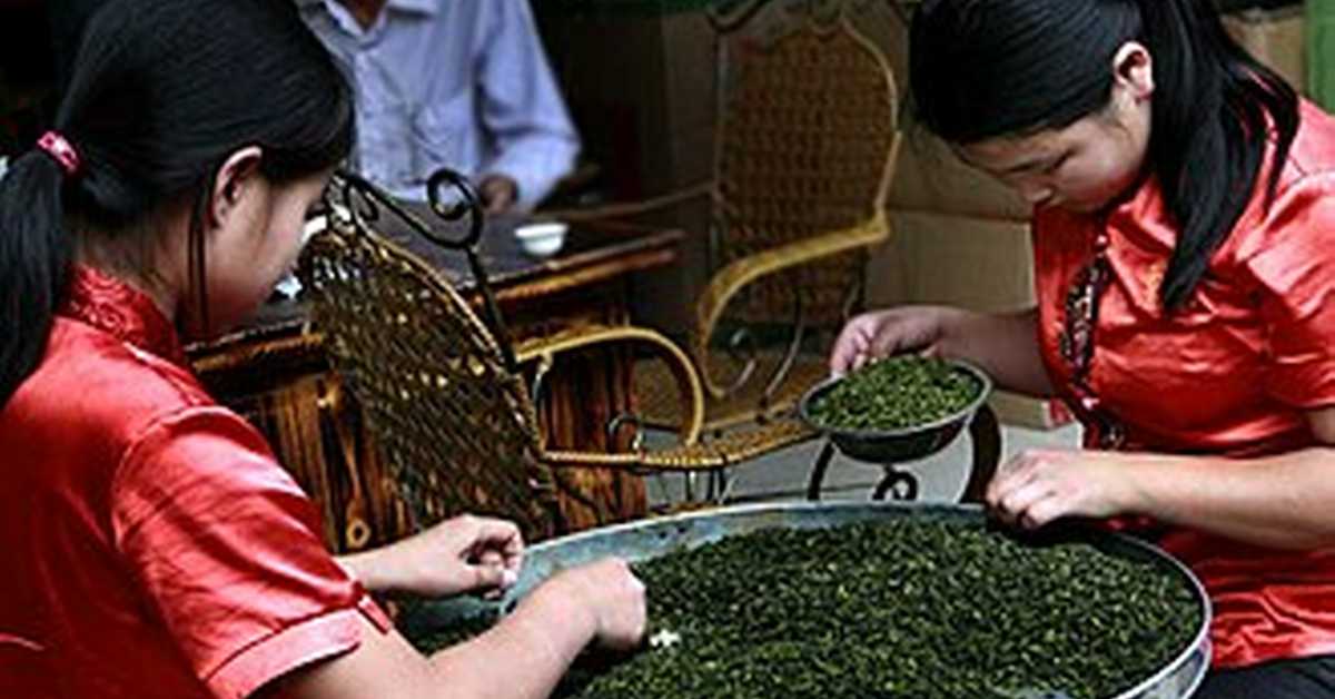 Кинески чај: Кључање воде и припрема чаја, 3-6  Кинески чај: Кључање воде и припрема чаја, 3-6