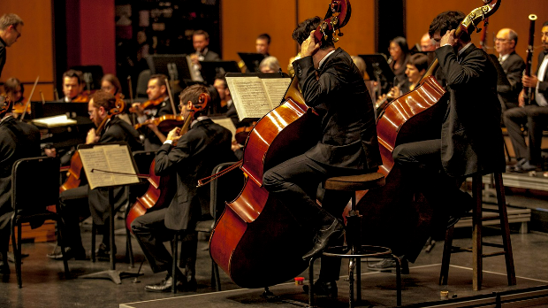Концерт – Czech national symphonic orchestra (PIXABAY / PIXABAY) Концерт – Czech national symphonic orchestra