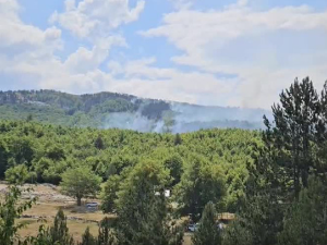 Киша угасила већину пожара на територији Подгорице, ватрогасци обилазе локације 