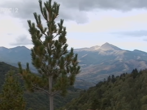 1001 Траг – Гора јечи