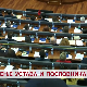 Кршење Устава и Пословника