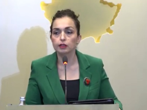 Вјоса Османи повлачи захтев због српског судије приштинског уставног суда
