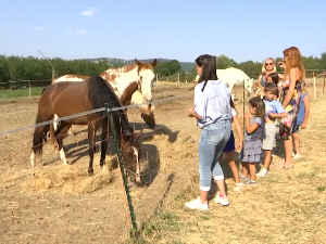 Шумадијски пикник под Букуљом