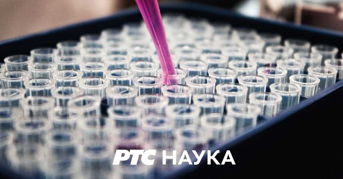 Старо српско писано наслеђе: Рукописно наслеђе Бранковића Старо српско писано наслеђе: Рукописно наслеђе Бранковића