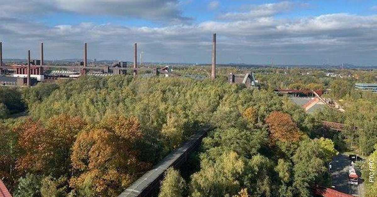 Возом по зеленој Европи: Есен Возом по зеленој Европи: Есен