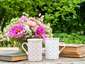 Ерлангенке и Кафка по други пут међу нама Ерлангенке и Кафка по други пут међу нама