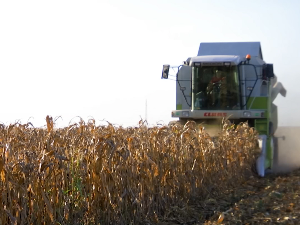 Пољопривредна берза