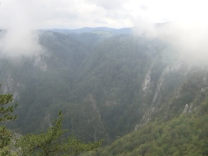 Шта су "хватачи магле" на Тари  