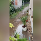 Ниш: Одакле вода у двориштима кућа у Доњој Врежини?