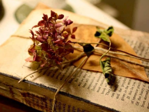 Милена Марковић: ,,Малена Бањска“