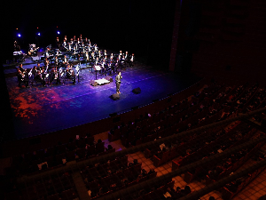 Биг биг бенд – Маx Greger Big Band