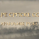 Еко минијатуре/ старе српске сорте-Хранљиве руже