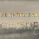 Еко минијатуре/ старе српске сорте-Хранљиве руже