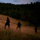 Пет