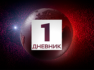 Дневник 1