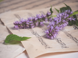 Јутро уз класику