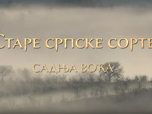 Еко минијатуре/ старе српске сорте-Садња воћа