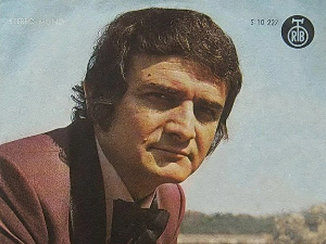 Портрет – Драган Токовић