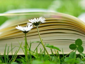 Милорад Павић: „Стихира оне која далеко сеје“