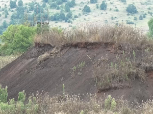 Димитровград: Обнављање рада рудника угља